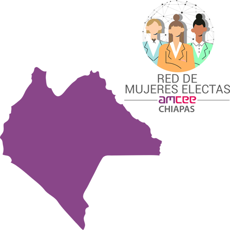 Instituto de Elecciones y Participación Ciudadana Chiapas