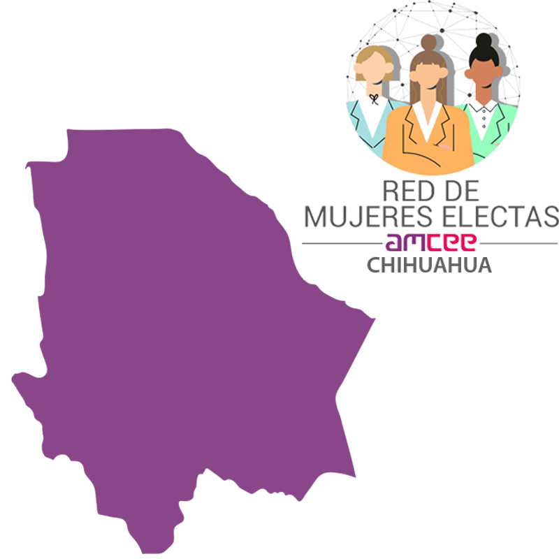 Instituto Estatal Electoral de Chihuahua