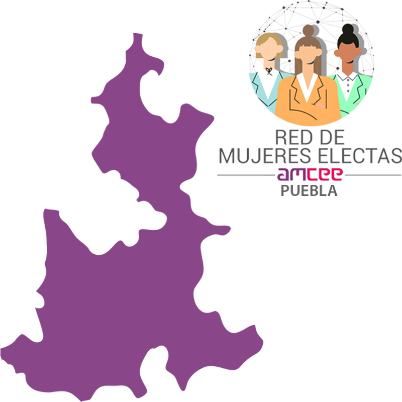 Instituto Electoral del Estado de Puebla