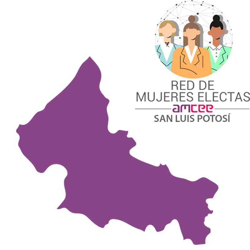 Consejo Estatal Electoral y de Participación Ciudadana de S.L.P.